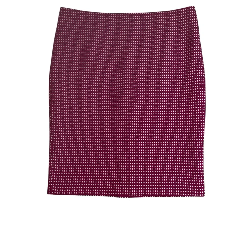 G5- Women’s Size 12 Polka Dot Straight Skirt - Ann Taylor - Large